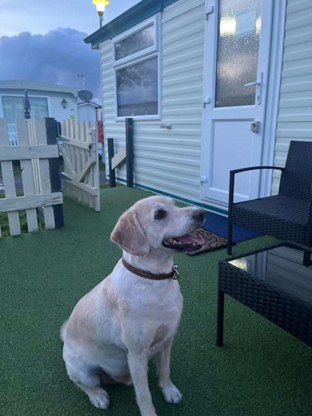 Sunnyside - Pet Friendly, Ingoldmells Hotell Exteriör bild